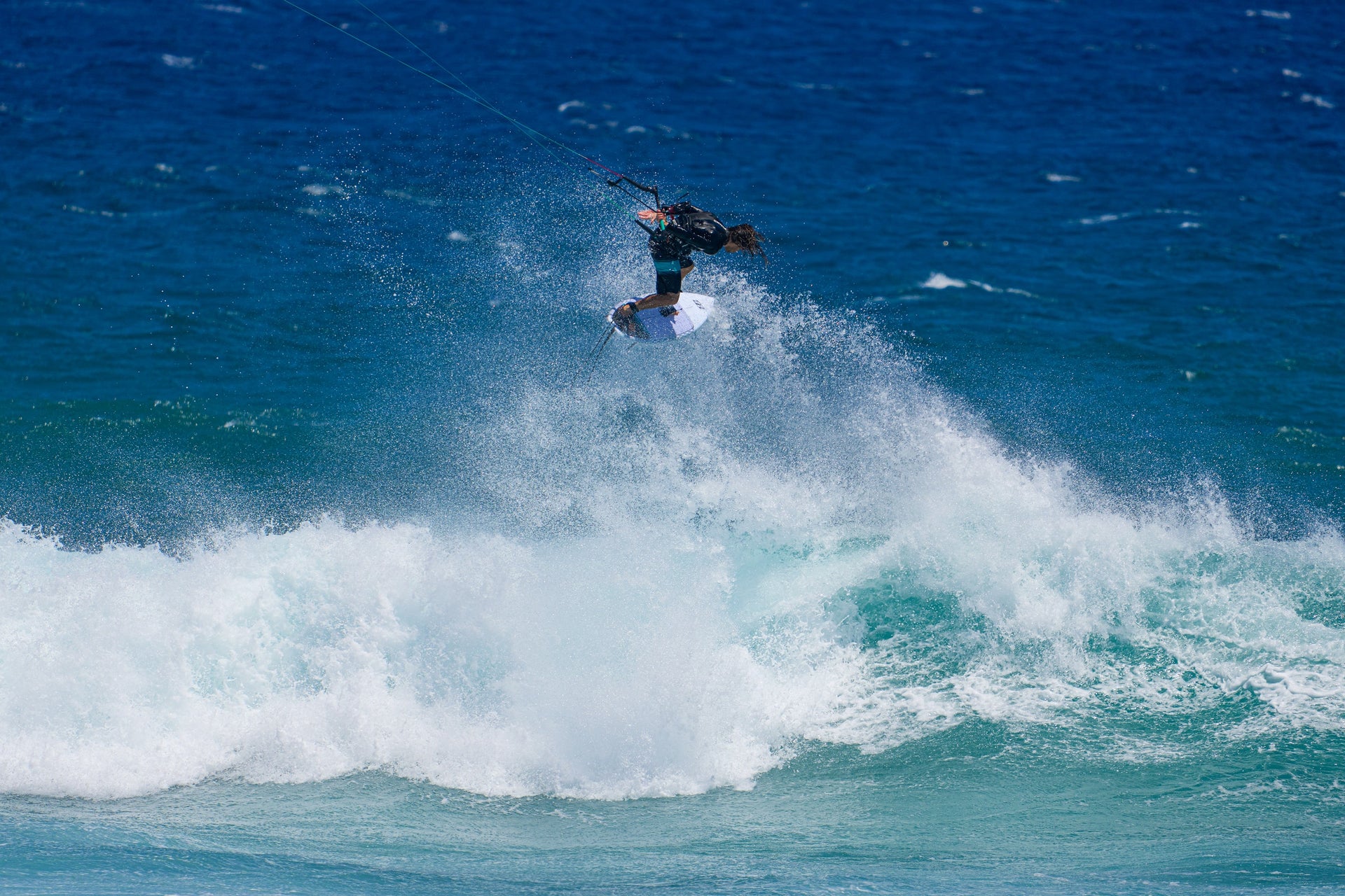 North HandlePass Leash Marketing Image 2