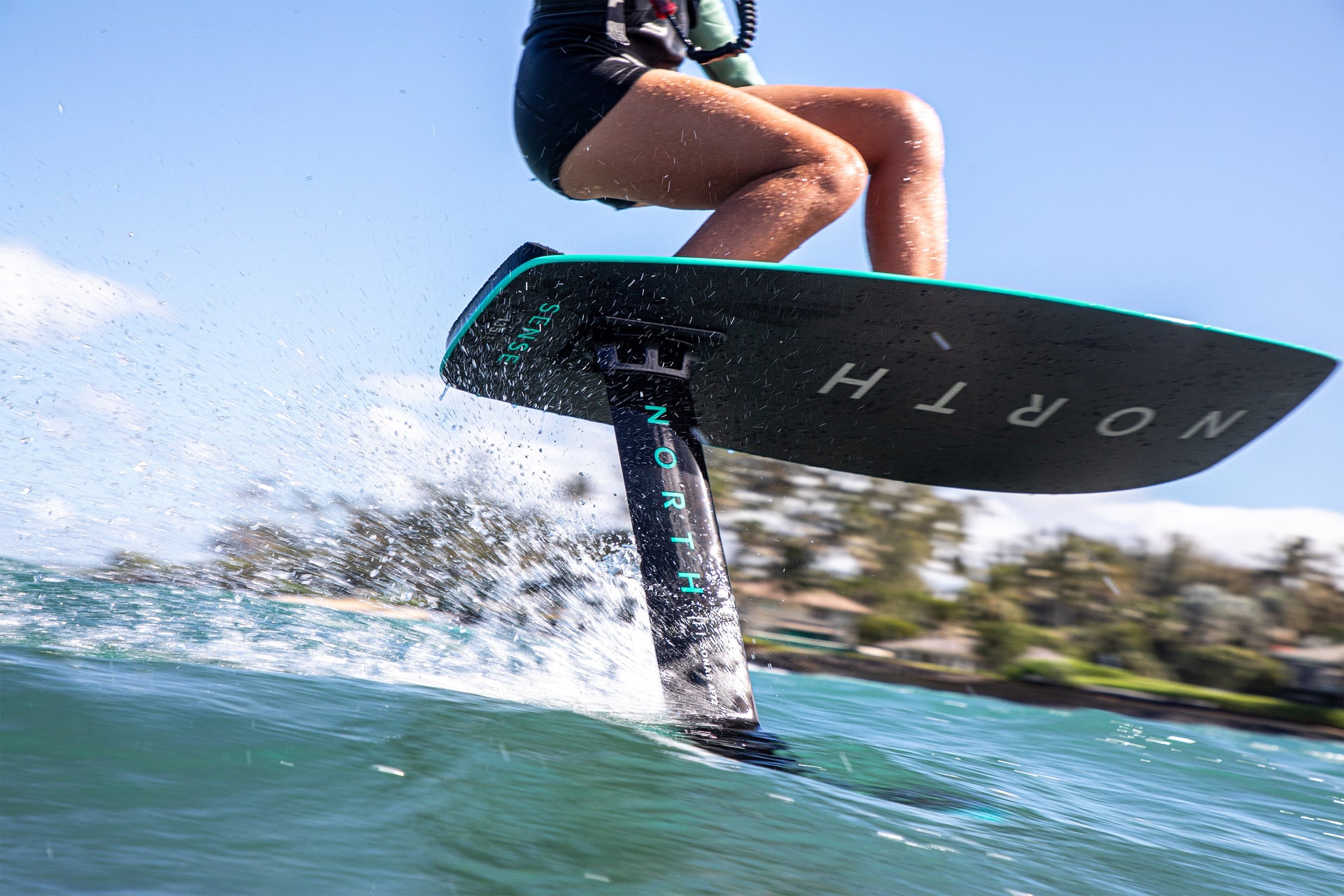 North Sense Marketing Image 1