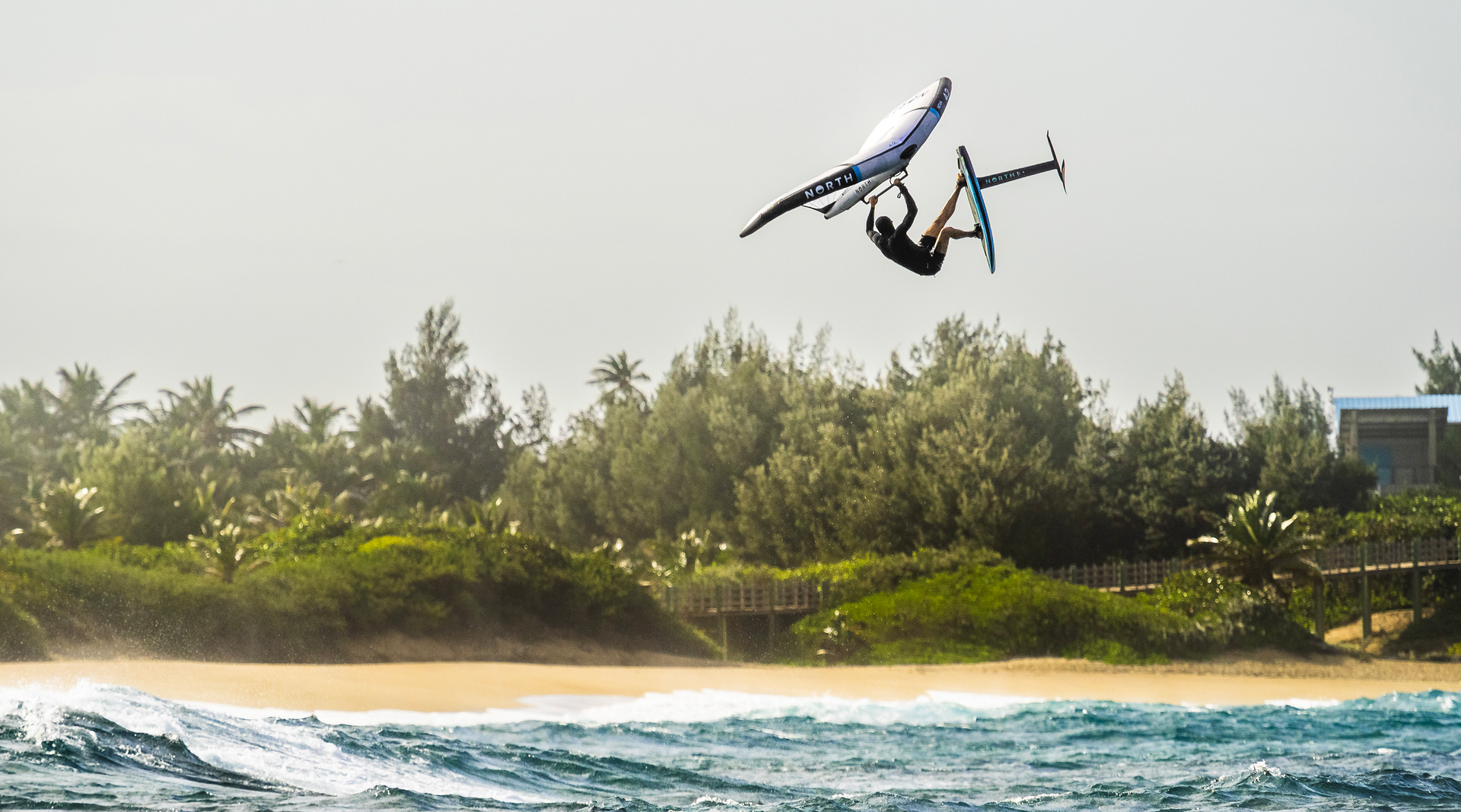 2026 North Foils Collection