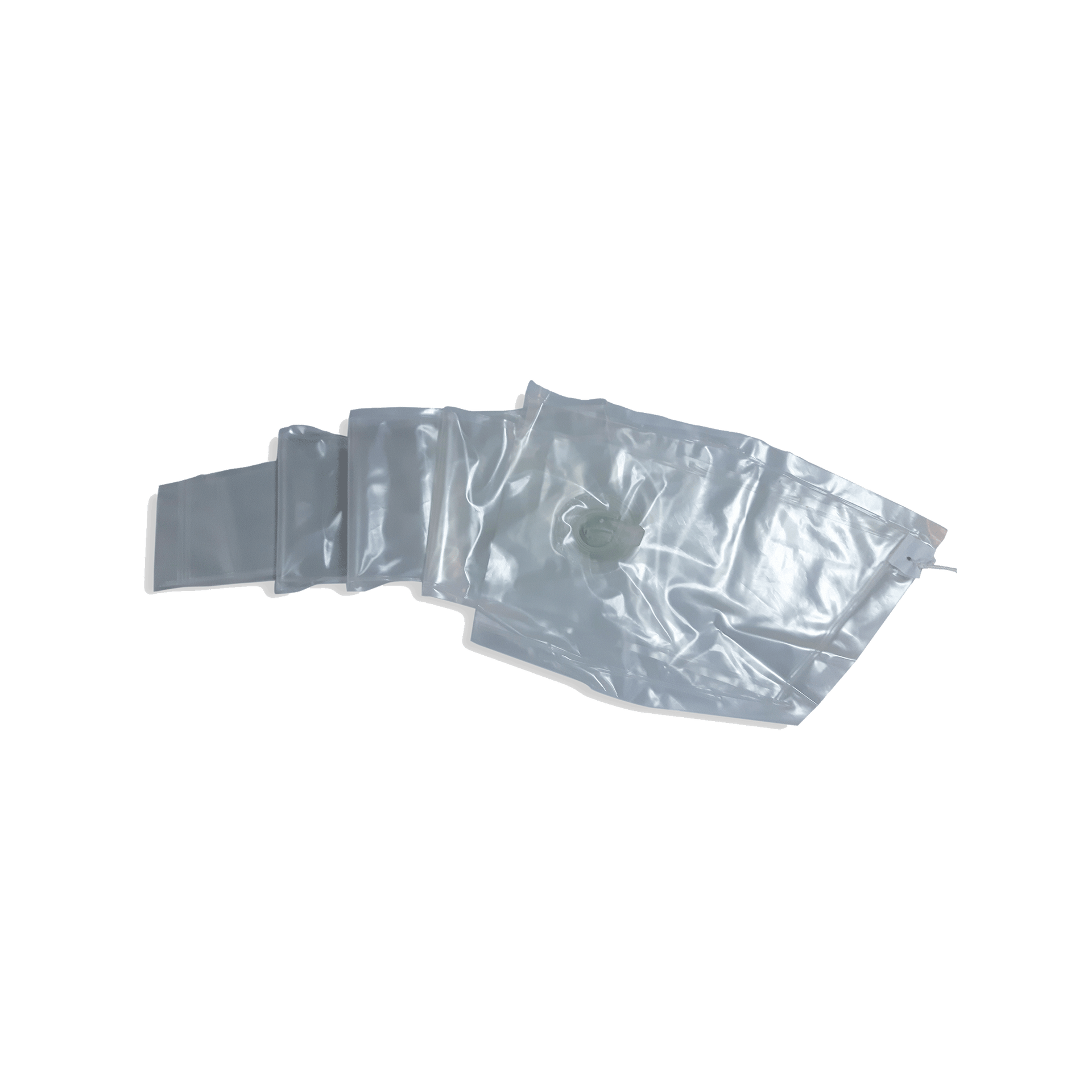 North Strut Bladder Transparent 1