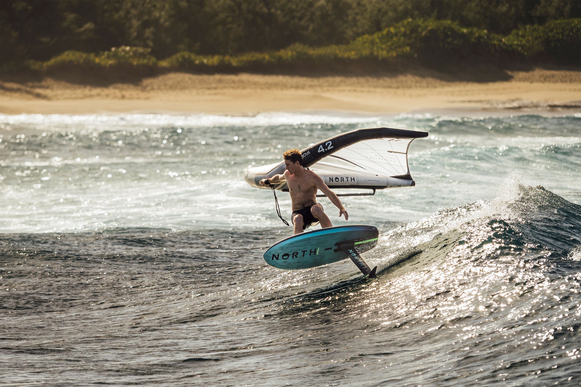 North Swell Pro Marketing Image 1