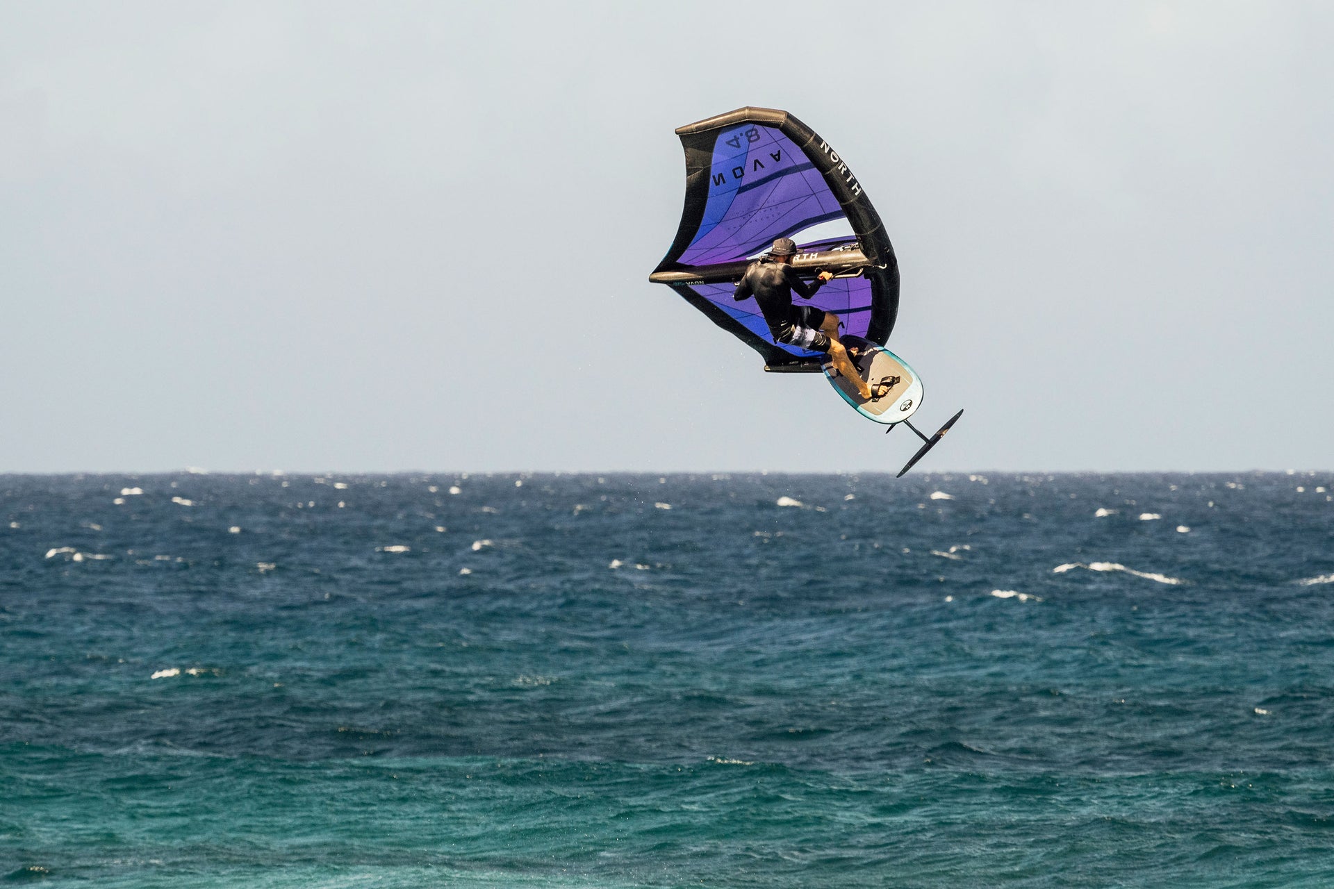 North Nova Marketing Image 5